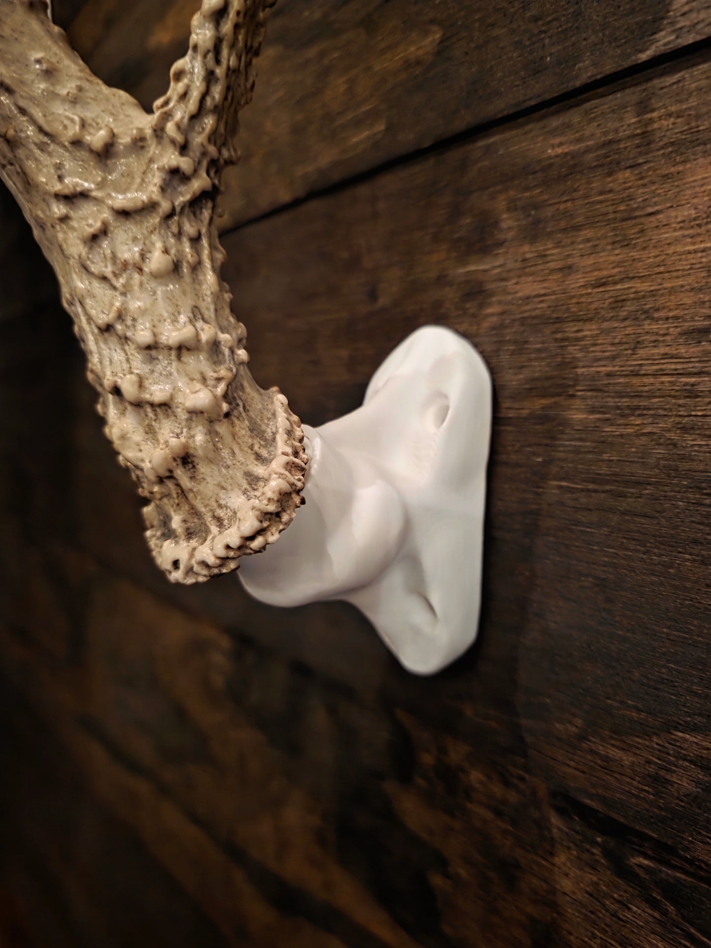 Deer Antler Wall Mount Bracket