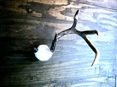 Whitetail Skull Cap
