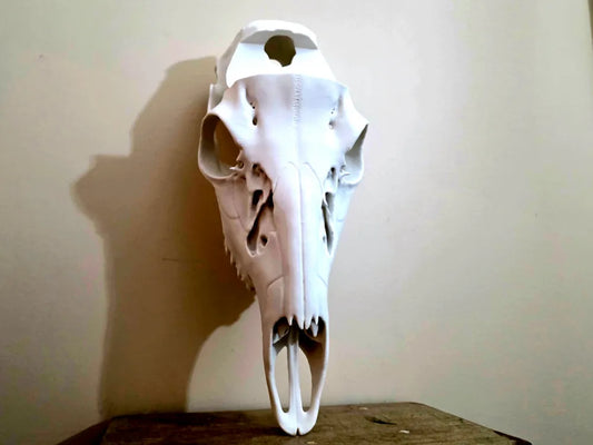 Classic European Whitetail  Cap Mount System