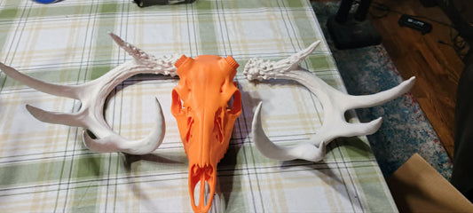 Antlers to fit bullet points